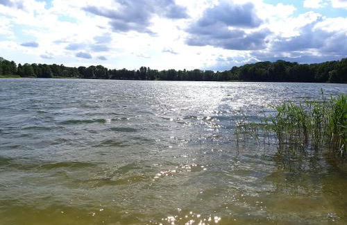 Urlaub am Seddiner See - Foto 12