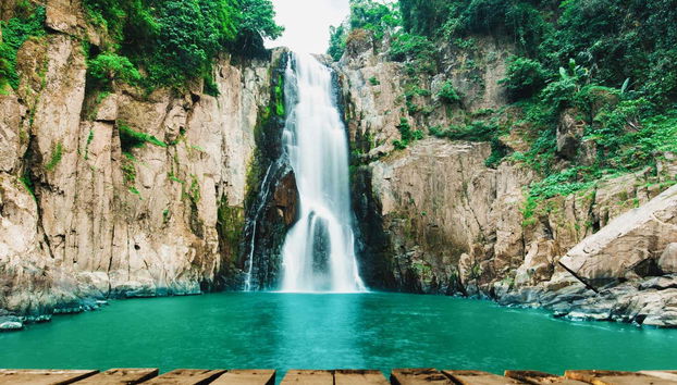 Você está preparado para esta aventura selvática?