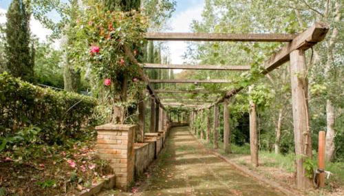 Fattoria Uccelliera - Foto 3, Garden, Garden view