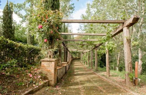 Fattoria Uccelliera - Foto 3