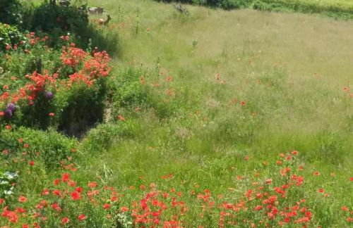 Apartment Schmetterling by Interhome - Foto 33