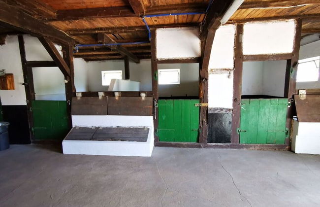 Sophienhof Lieselotte - Foto 26