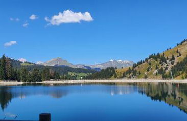 Les Lucioles - Photo 14