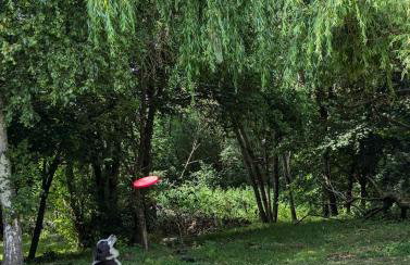 Woodside Studio - Foto 24