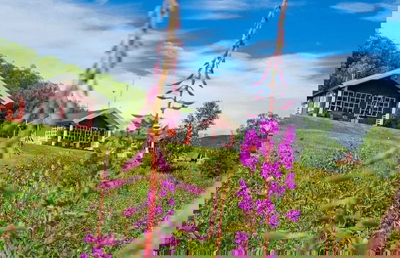 Levajok Fjellstue Adventures - Foto 16