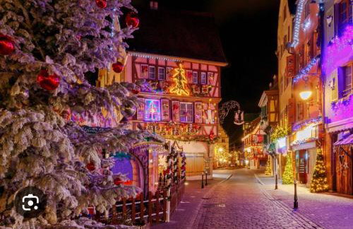 Escale cosy a Strasbourg au fil de l eau - Foto 35