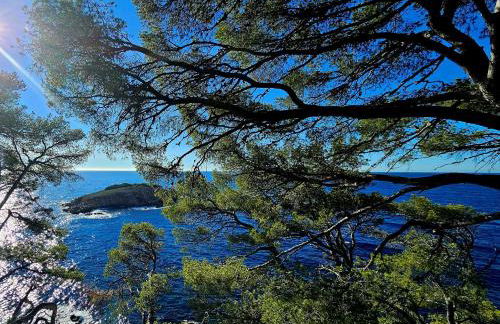 SUPERBE APPARTEMENT VUE MER - PLAGE, PISCINE et TENNIS PRIVE - Foto 12