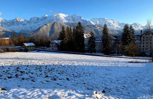 Fizhome Mt Blanc - Photo 51