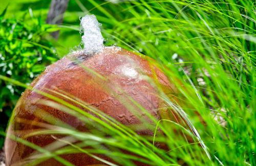 Residence Engel - Foto 20