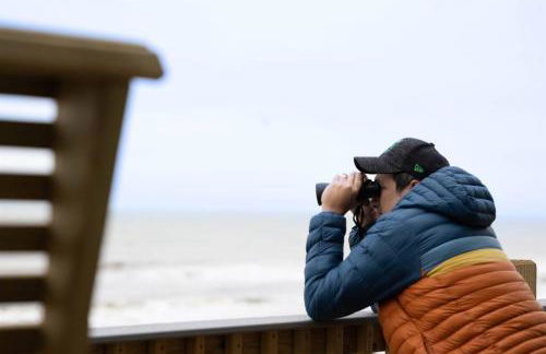 Crystal Beach Beachfront, Heated Pool, Sleeps 10 - Foto 23