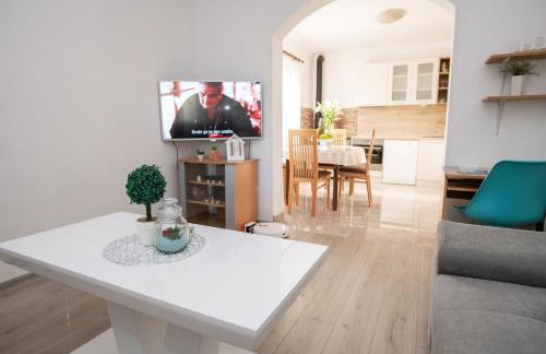 Amaryllis - Photo 21