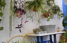 Cueva En El Geoparque de Granada - Foto 24