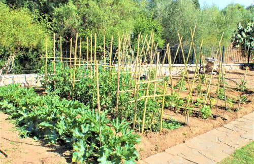 Stamna Farm - Foto 22