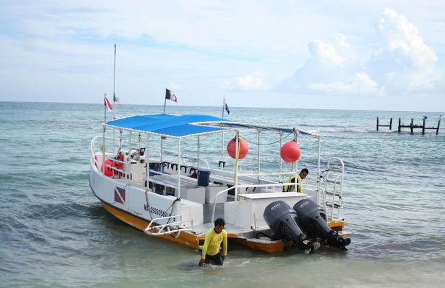 Apartments Paraiso Maya 19-b - Photo 29