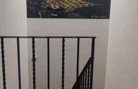 Paredejas del Rey - Foto 33