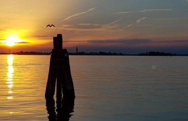 Bungalow bei Emma - Foto 17