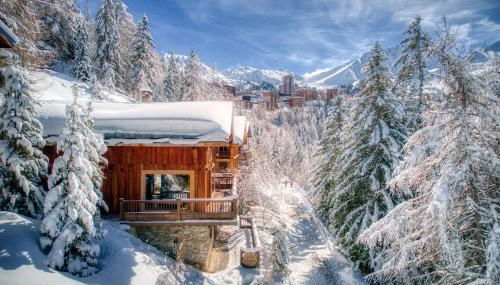 Chalet Dakota, Pied des pistes, 15 pers, La Plagne - Foto 2