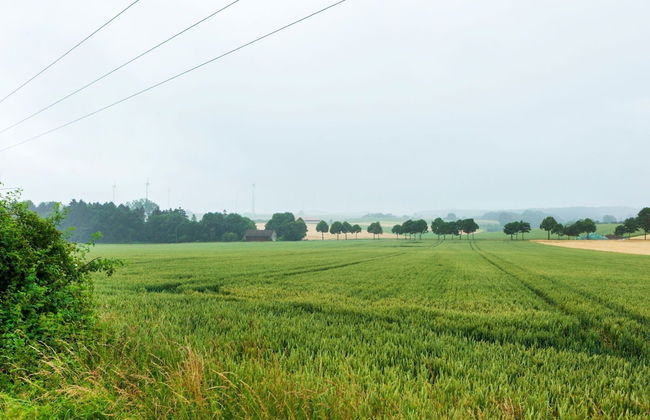 Apartment in Bad Wunnenberg Near Ski Willingen - Photo 20
