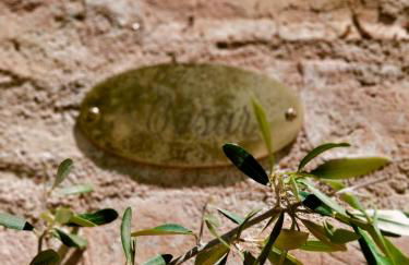 A l Aube du Midi - Foto 24