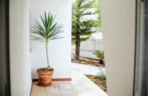 Faulha House,with BBQ and swimming pool - Foto 26