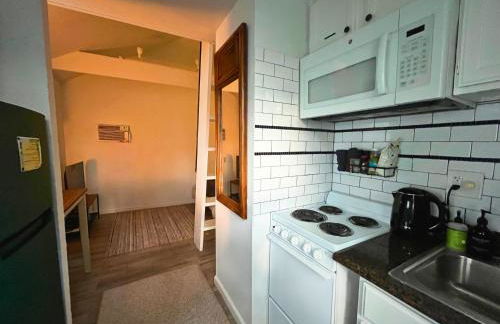 Entire loft in Montrose District, Houston, Texas - Foto 5