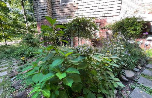 Mary's Place - Studio surrounded by nature but close to High Point - Photo 7