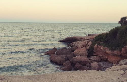 Ca la Mercè - Foto 34