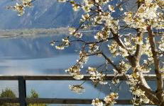 Rocca d'Anfo B&B-Apartments Lake View - Foto 4