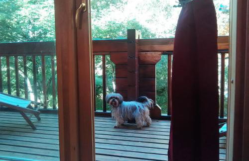 Chalet bois au milieu des Pyrénées - Foto 11