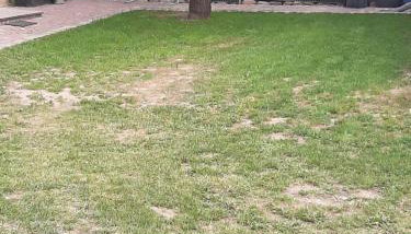 Ferienhaus Flotte Biene in Buggow - Photo 2