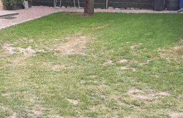 Ferienhaus Flotte Biene in Buggow - Foto 2