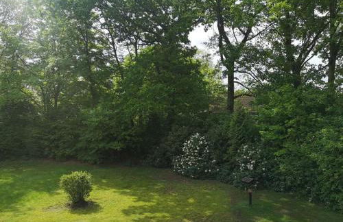 Ferienwohnung Boven - Foto 30