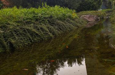 Mickey Mouse Supilova 24 - Foto 37