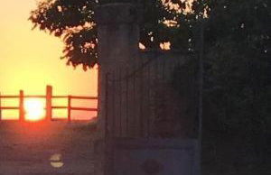 Mas du figuier Occitanie - Maison de maitre - Foto 22