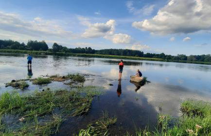 Domek do wynajęcia - Siedlisko przy lesie - Foto 10