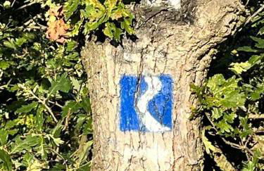 Rheinauszeit - Foto 30