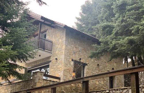 The forest chalet in Parnassus - Foto 34