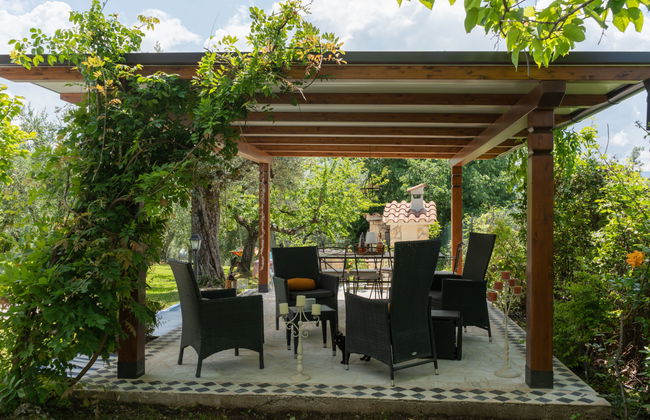 Olive Grove Sabina - Foto 38