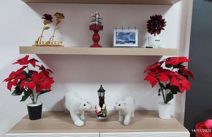 PARQUE DEL MEDITERRANEO - Photo 12