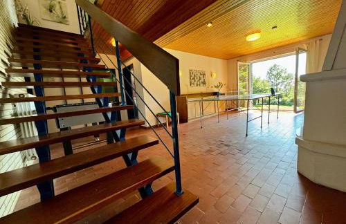 Alpenblick-Hotzenwald - Foto 30