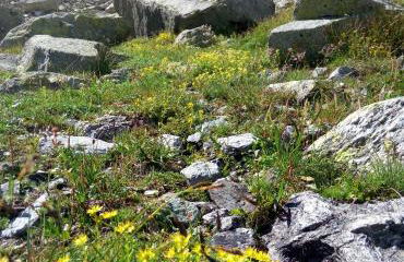 La Casetta -Valtellina-15 min Bernina Express - Foto 27