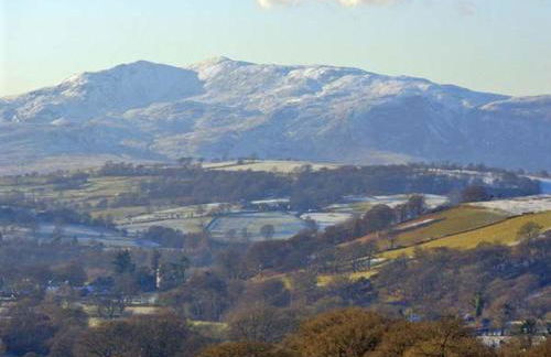 Forestry Cottage - Foto 13