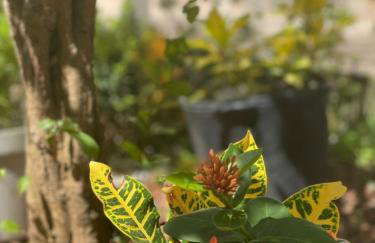 Tiny house AR, Wi-Fi, TV cozinha, proximo a Unig - Foto 64