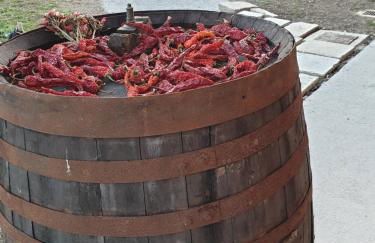 Taverna Ferrigno - Foto 34