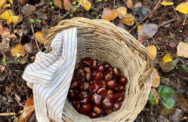 Casa rural La Frambuesa - Foto 16