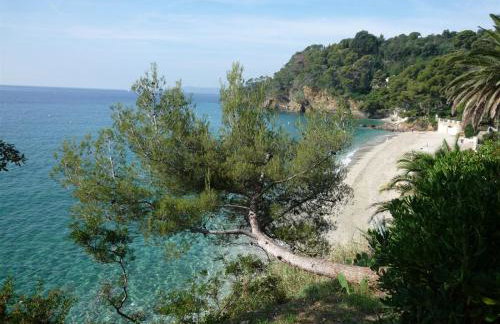 Résidence Le Golfe Bleu - Photo 66