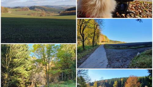 FERIENWOHNUNG Am Kegelsberg - Foto 5