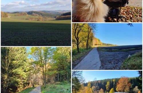 FERIENWOHNUNG Am Kegelsberg - Foto 5