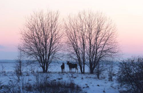 Mazury Garbate - Dom I przy Cisowym Jarze - Foto 62