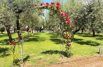Agriturismo Podere Campiglia - Foto 6